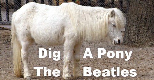 Dig A Pony. The Beatles.