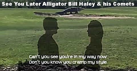 Se you Later Alligator - Bill Haley and his Comets.